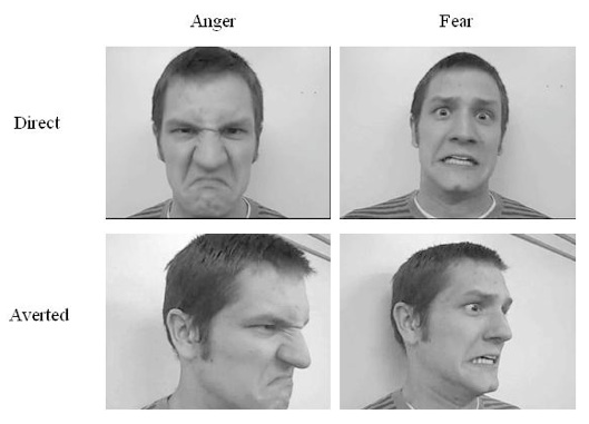 Figure 1: Anger/Fear