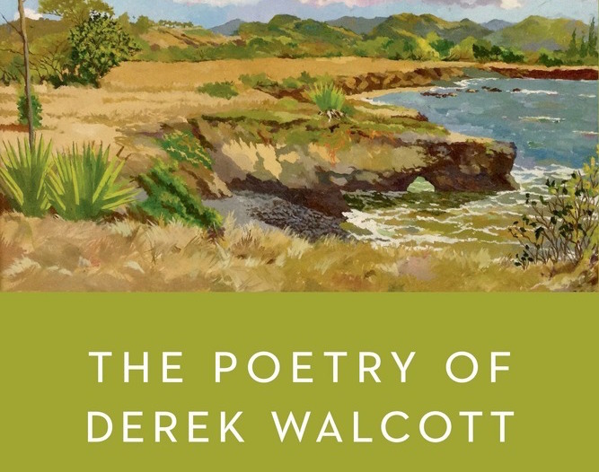 walcott s poetry For instance, in the new yorker review of the poetry of derek walcott, adam kirsch had high praise for walcott's oeuvre, describing his style in the following manner. walcott s poetry For instance, in the new yorker review of the poetry of derek walcott, adam kirsch had high praise for walcott's oeuvre, describing his style in the following manner.