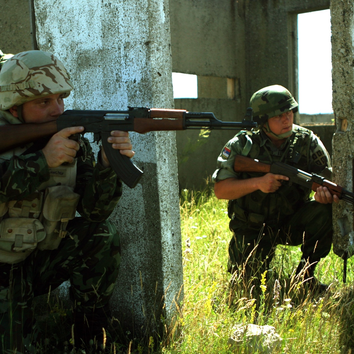 Serbia and the Former Yugoslavia: What's to Be Done? - Inquiries Journal