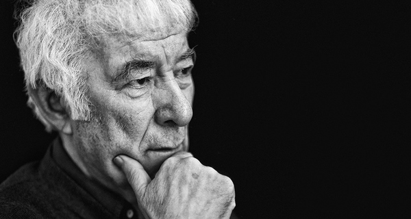 an advancement of learning seamus heaney