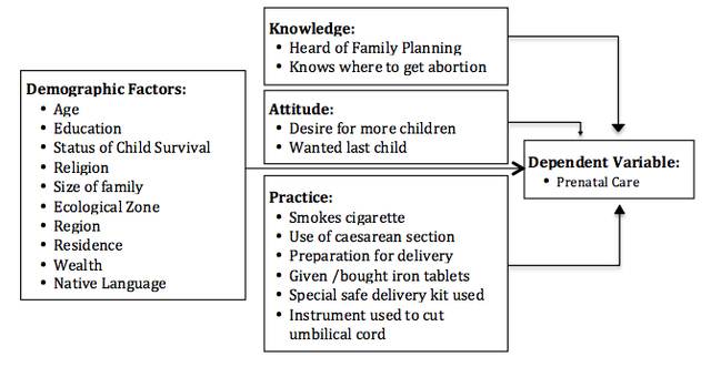 Maternal Mortality Risk Factors