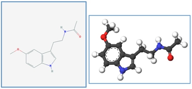 Figure 1.1