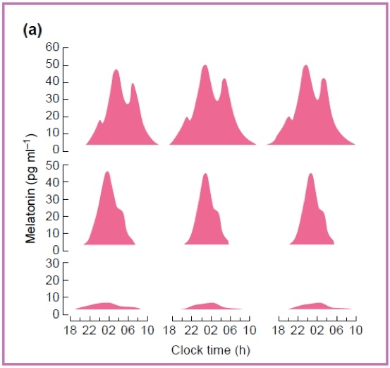 Figure 1.3