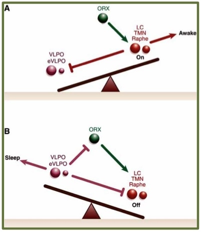 FIgure 2.2