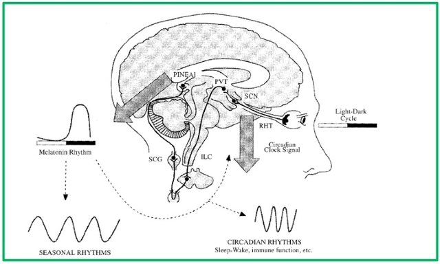 Figure 2.3