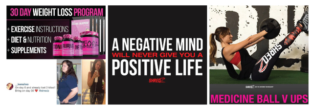 Figure 6. Examples of Shredz’s tough and reliable personality.