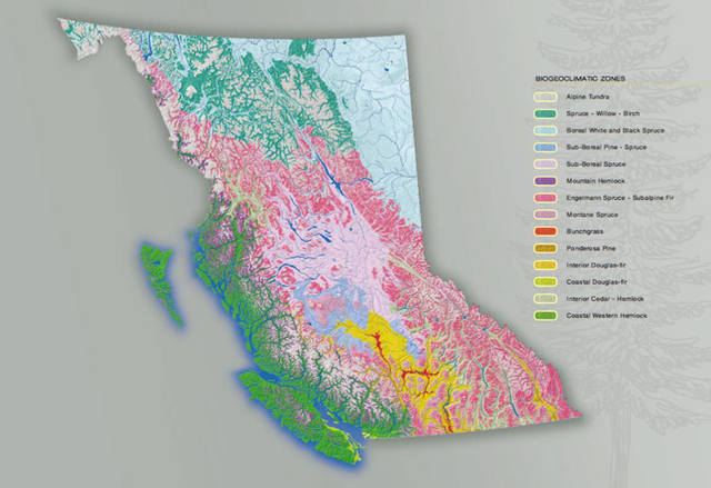 Figure 1: Biogeoclimatic Zones of British Columbia (Source: Government of BC, 2003) 