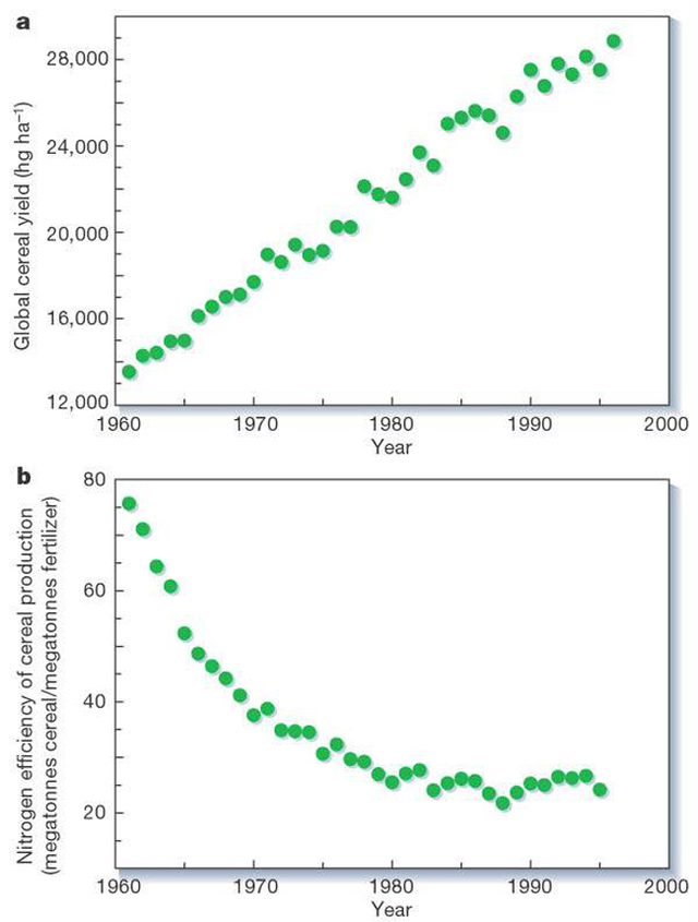 Figure 6: a, Trends in average global cereal yields; b, trends in the nitrogen-fertilization efficiency of crop production (annual global cereal production divided by annual global application of nitrogen fertilizer) Source: Tillman et al, 2002