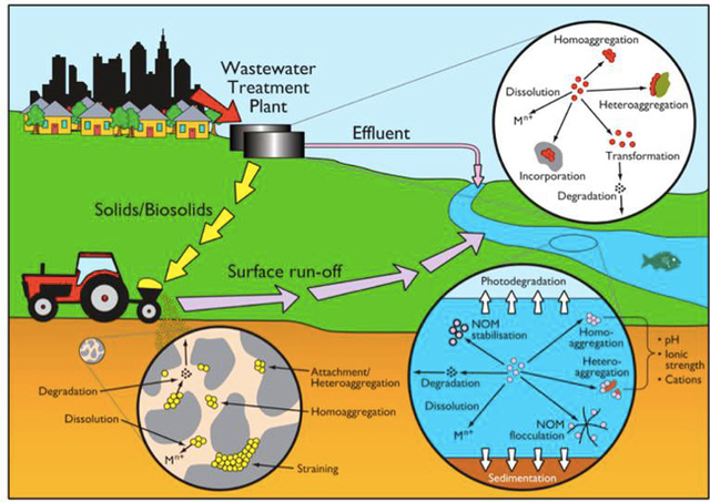 Figure 2. Proposed schematic diagram of pathways of NPs into the environment. (Image retrieved from Batley et al., 2011)