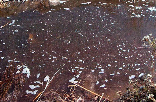 Figure 6: A CAFO discharge to canal often impairing water quality (11.3.09 Discharge 11)