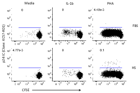 Figure 2. IL-1β Induces Cell Proliferation. Peripheral blood mononuclear cells (PBMCs) from representative patient 5210 (Viral load: 19691 copies/mL) were (1) left in the absence of cytokines (media) or in the presence of IL-1β or PHA, and (2) cultured in a medium supplemented with FBS or HS for 7 days. The cells were stained with 5,6-carboxyfluorescein-diacetate succinimidyl ester (CFSE) dye to track cell divisions. The cells were then assessed for intracellular p24Gag expression by flow cytometry. Numbers indicate percentages of the CD8-negative CD3-positive T-cell population.