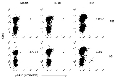 Figure 3. Reactivation causes downregulation of CD4. In representative patient 5210 (Viral load: 19691 copies/mL), virus in CD4 positive T-cells caused downregulation when it was reactivated. IL-1β did not induce reactivation when supplemented with FBS or HS.