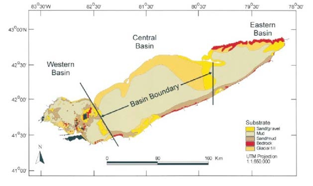 Figure 1. The map shows the three basins of Lake Erie: Western Basin, Central Basin, and Eastern Basin (Haltuch et al., 2000).