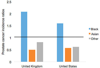 Figure 5. Age-standardized prostate cancer incidence ratios relative to White in-country reference group, which is highlighted by the black line, in the U.S. and U.K, 2002 to 2006.