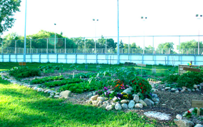 Parkallen Community Garden