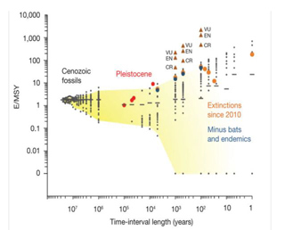 Fig. 3. Relationship between Extinction Rates and the Time Interval Over Which the Rates Were Calculated, for Mammals.