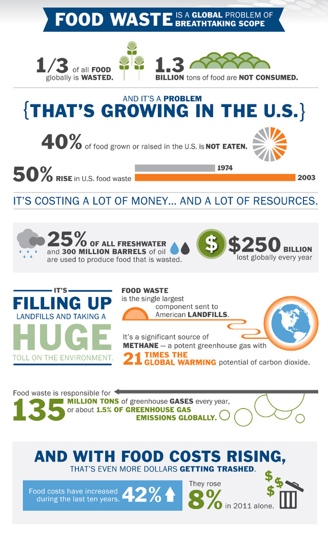 Food Waste in America