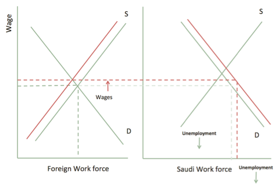 Graph 5