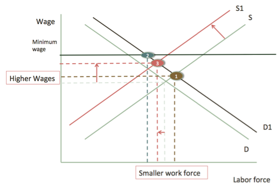 Graph 6