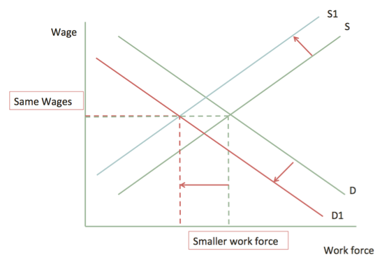 Graph 7