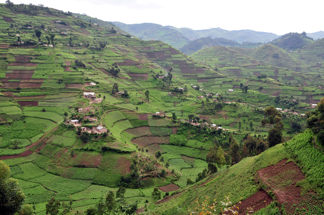 Rolling hills in southern Uganda