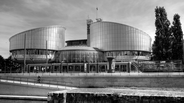 The European Court of Human Rights