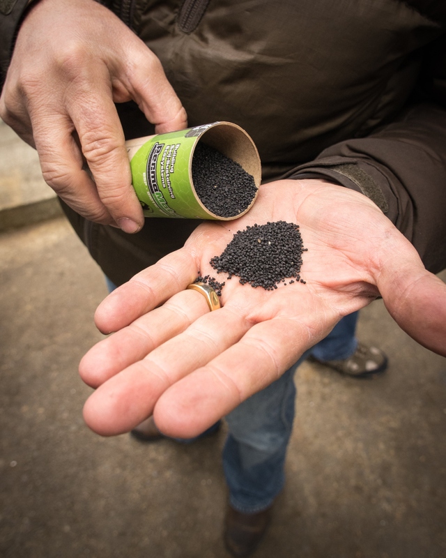 Biochar sample