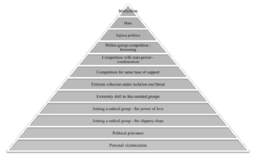 Figure 1.1: Pyramid of radicalization