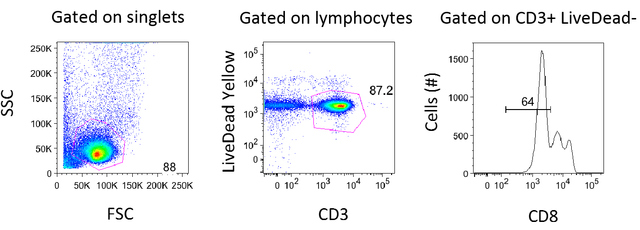Figure 1. Gating Strategy for Flow Cytometry Analysis. Data for Media in FBS for Patient 5210 (Day 7) was analyzed using FlowJo Version 8.8.7. After gating on singlets, lymphocytes were gated using forward and side scatter. The forward scatter (FSC) measures the alterations of cell size whereas the side scatter (SSC) measures cell granularity. Live CD3+ T-cells were defined on a plot of CD3 vs. Live/Dead Yellow stain (b). CD8 negative T-cells were gated because reactivation causes downregulation of the CD4 molecule.