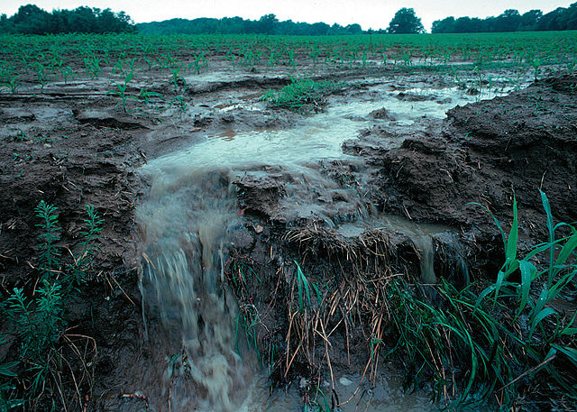 Example of non-point source pollution