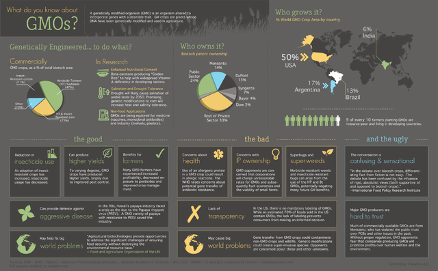 GMO Infographic: What do you need to know?
